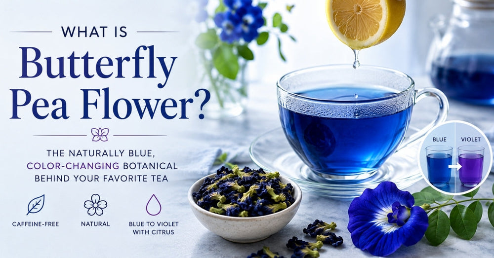 What Is Butterfly Pea Flower? Benefits, Color, Taste, and How to Use It