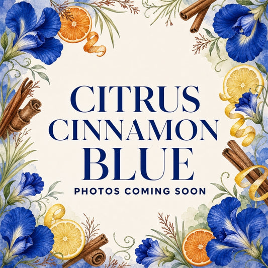 Citrus Cinnamon Blue product photos coming soon, framed by butterfly pea flowers, citrus slices, cinnamon, and herbs
